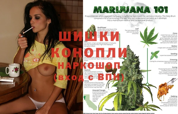 трава Алексеевка