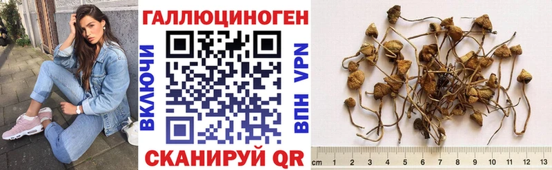 Псилоцибиновые грибы Magic Shrooms  Карпинск 